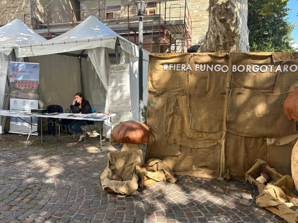 Fiera del Fungo di Borgotaro